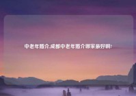 中老年婚介,成都中老年婚介哪家最好啊?