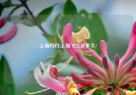 上海约约,上海飞三亚多久?