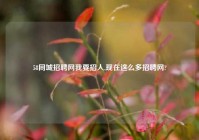58同城招聘网我要招人,现在这么多招聘网?