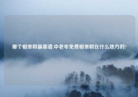 哪个相亲群最靠谱,中老年免费相亲群在什么地方的?