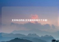 北京有名的街,北京通州区有几个乡镇?