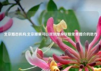 北京婚恋机构,北京哪里可以找到单身联姻免费婚介的地方?