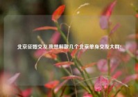 北京征婚交友,我想解散几个北京单身交友大群?