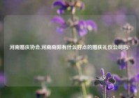河南婚庆协会,河南南阳有什么好点的婚庆礼仪公司吗?