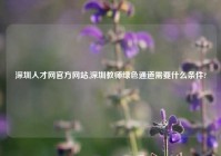 深圳人才网官方网站,深圳教师绿色通道需要什么条件?