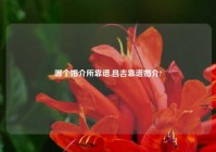 哪个婚介所靠谱,昌吉靠谱婚介?