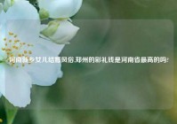 河南新乡女儿结婚风俗,郑州的彩礼钱是河南省最高的吗?