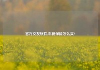 官方交友软件,车辆保险怎么买?