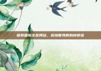 探索国际交友网站，连接世界的别样桥梁
