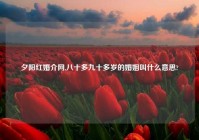 夕阳红婚介网,八十多九十多岁的婚姻叫什么意思?