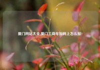 厦门网站大全,厦门工商年报网上怎么报?