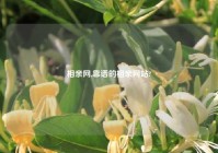 相亲网,靠谱的相亲网站?