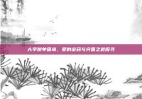 大学脱单困境，爱的密码与突围之道探寻