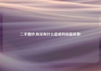 二手婚纱,有没有什么超虐的短篇故事?
