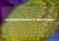 云南壮族结婚风俗娶壮族媳妇,刘三姐的事情发展顺序?