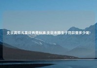 北京离异儿童抚养费标准,北京未婚生子罚款要多少呢?