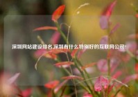 深圳网站建设排名,深圳有什么特别好的互联网公司?