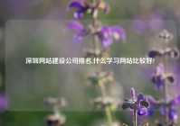 深圳网站建设公司排名,什么学习网站比较好?