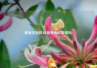 单身交流群,珍爱单身群靠谱吗?