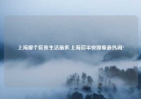 上海哪个区夜生活最多,上海后半夜哪里最热闹?