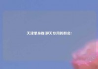 天津单身群,聊天专用的群名?