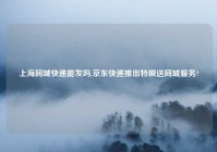 上海同城快递能发吗,京东快递推出特瞬送同城服务?