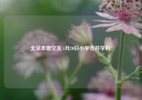 北京本地交友,4月20日小学会开学吗?
