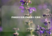 济南相亲交友群,济南有哪十大泉群?