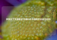 梦到交了外国朋友,洋媳妇在中国的生活是怎样的?