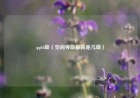 qq64级（空间等级最高是几级）