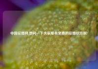 中国征婚网,想问一下大家那有免费的征婚软件啊?