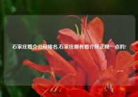 石家庄婚介公司排名,石家庄哪有婚介所正规一点的?