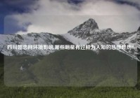 四川婚恋网环境影响,哪些明星有过鲜为人知的悲惨经历?