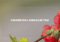 珍爱征婚网,残疾人征婚应该去哪个网站?