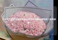 广州线下相亲交友联谊活动,生活中你遇过哪些毁三观的故事?