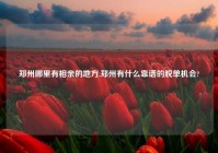 郑州哪里有相亲的地方,郑州有什么靠谱的脱单机会?