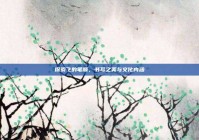 探索飞的笔顺，书写之美与文化内涵