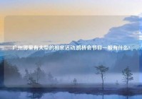 广州哪里有大型的相亲活动,鹊桥会节目一般有什么?