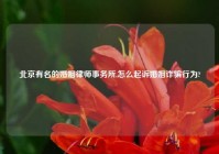 北京有名的婚姻律师事务所,怎么起诉婚姻诈骗行为?