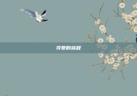 寻爱的旅程