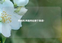 再婚网,再婚网站哪个靠谱?