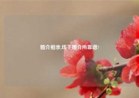 婚介相亲,线下婚介所靠谱?