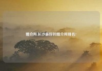 婚介所,长沙最好的婚介所排名?