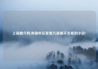 上海婚介网,有哪些反复看几遍都不会腻的小说?
