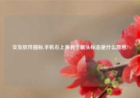交友软件图标,手机右上角有个箭头标志是什么意思?