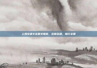 上海交通卡全国交联版，互联互通，畅行全国