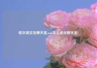 哈尔滨交友聊天室,soul怎么退出聊天室?