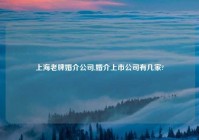 上海老牌婚介公司,婚介上市公司有几家?