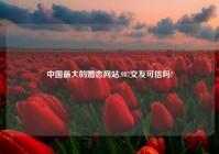中国最大的婚恋网站,987交友可信吗?