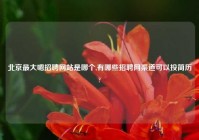 北京最大嗯招聘网站是哪个,有哪些招聘网渠道可以投简历?